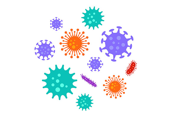 Viruses That Cause The Common Cold